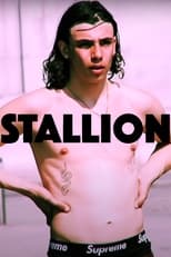 Poster de la película STALLION