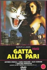 Poster de la película Gatta alla pari