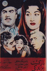 Poster de la película Returning to Life