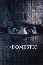 Poster de la película The Domestic