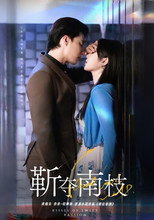 Poster de la serie 靳夺南枝