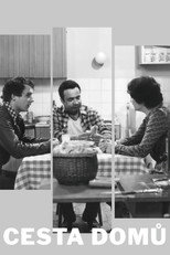 Poster de la serie Cesta domů