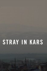 Poster de la película Stray in Kars