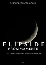 Poster de la película Flipside