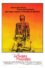 Poster de la película El Hombre De Mimbre