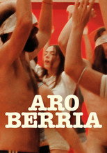 Poster de la película Aro berria