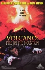 Poster de la película Volcano: Fire on the Mountain