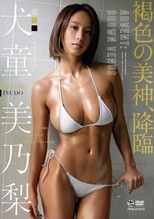 Poster de la película 褐色の美神、降臨 犬童美乃梨 Aircontrol