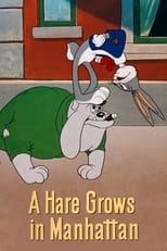 Poster de la película A Hare Grows in Manhattan