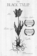 Poster de la película The Black Tulip