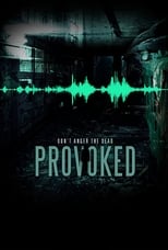 Poster de la película Provoked