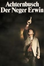 Poster de la película Der Neger Erwin