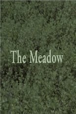 Poster de la película The Meadow