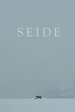 Poster de la película Seide