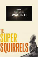 Poster de la película The Super Squirrels