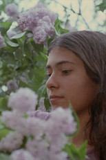 Poster de la película A Little Summermusik