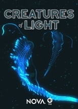 Poster de la película Creatures of Light