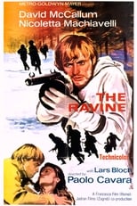 Poster de la película The Ravine