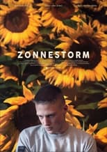 Poster de la película Zonnestorm