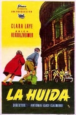 Poster de la película La huida