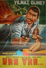 Poster de la película Sokakta Kan Vardı