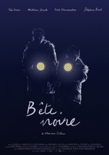 Poster de la película Bête Noire