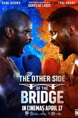 Poster de la película The Other Side of the Bridge