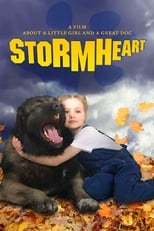 Poster de la película Stormheart