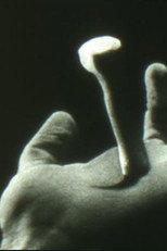 Poster de la película Non Catholicam