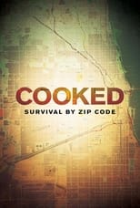 Poster de la película Cooked: Survival by Zip Code