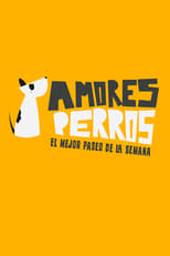 Poster de la serie Amores perros