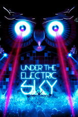 Poster de la película Under the Electric Sky