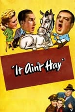 Poster de la película It Ain't Hay