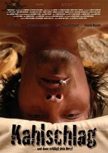 Poster de la película Kahlschlag