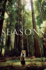 Poster de la película Seasons