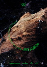 Poster de la película Cambium