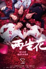 Poster de la serie 两生花