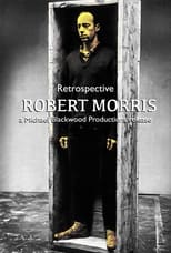 Poster de la película Robert Morris: Retrospective
