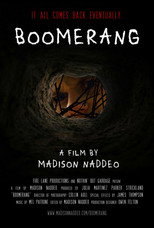 Poster de la película Boomerang