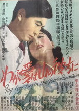 Poster de la película My Love on the Other Side of the Mountain