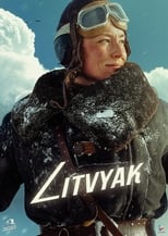 Poster de la película Litvyak