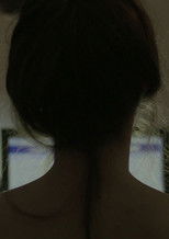 Poster de la película The Last Portrait