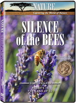 Poster de la película Silence of the Bees