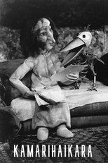 Poster de la película The Chamber Stork