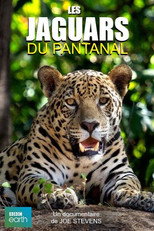 Poster de la película Jaguars of the Pantanal