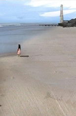 Poster de la película The Eyes of the Lighthouse