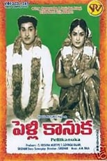 Poster de la película Pelli Kanuka