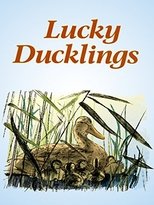 Poster de la película Lucky Ducklings