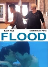 Poster de la película Flood