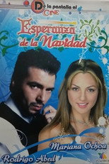 Poster de la película La esperanza de la navidad